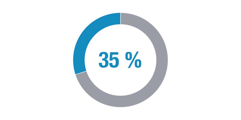 Vermögensverwaltung mit 35 % Aktienanteil