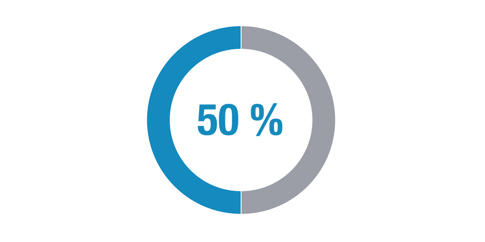 Vermögensverwaltung mit 50 % Aktienanteil