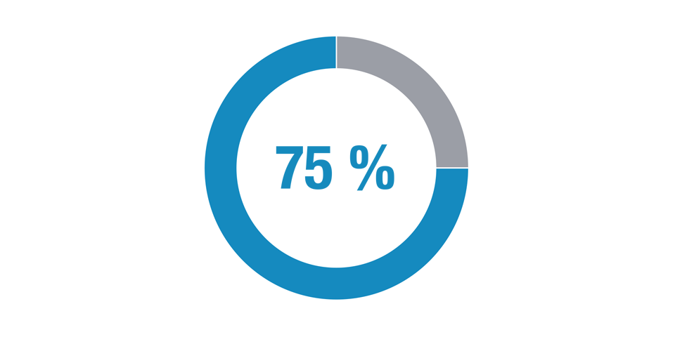 Vermögensverwaltung mit 75% Aktienanteil