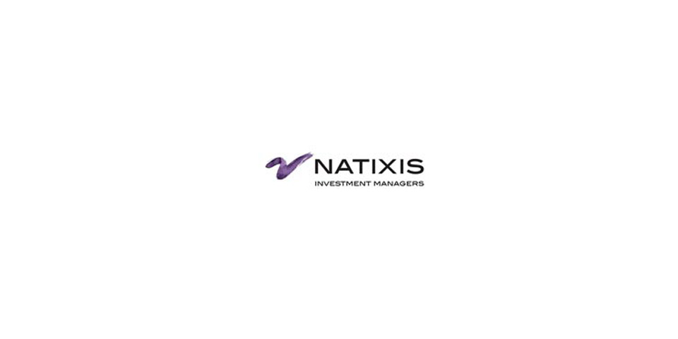 NATIXIS Investment